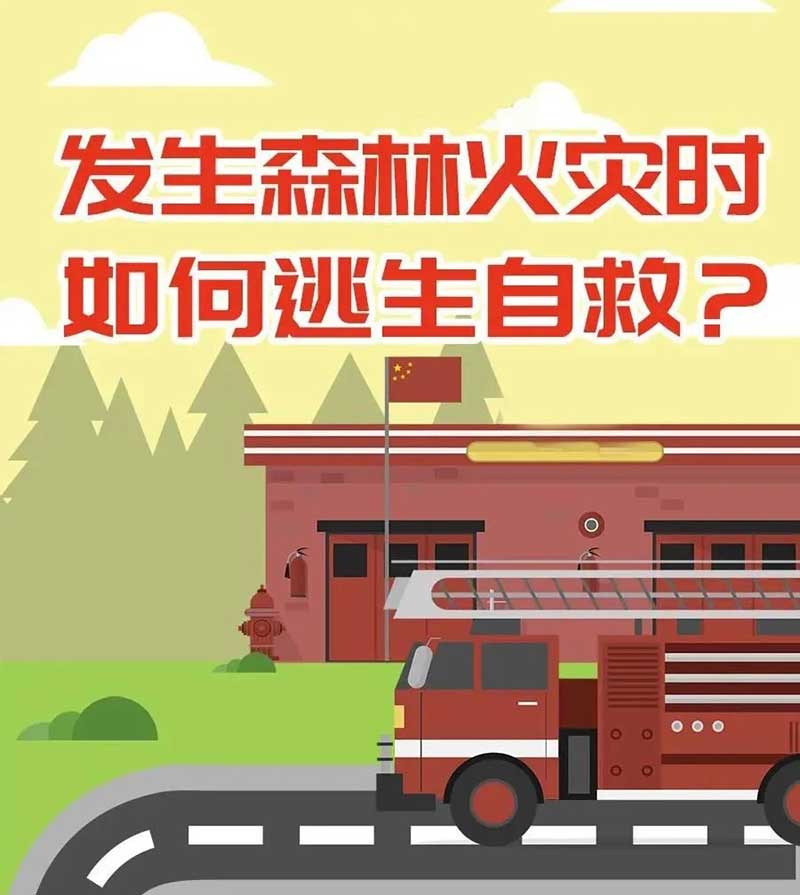 發(fā)生森林火災(zāi)時(shí)如何逃生自救？